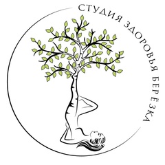 Студия Берёзка, Жуковский