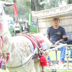 Luis Chm, 43 года, Arequipa