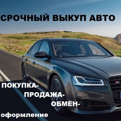 Авторынок Никаавто, Череповец