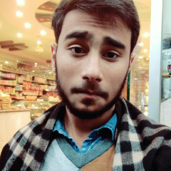 Hassan Malik, 24 года, Faisalabad