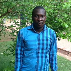 Sow Boubacar, 39 лет, Bamako