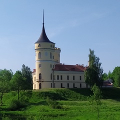 Мария Козлова, Санкт-Петербург