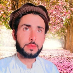 Shaheen Wazir, 30 лет, Peshawar