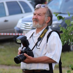 Сергей Попов, 70 лет, Каргаполье (рп)