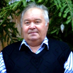 Владимир Буев, Домозерово