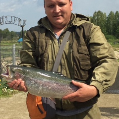 Павел Куракин, 36 лет, Миасс