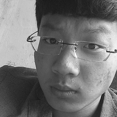 Juncheng Liu, 28 лет, Shenyang