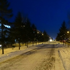 Антон Нечепоренко, Москва