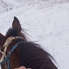 Али Шидаков, 17 лет, Черкесск