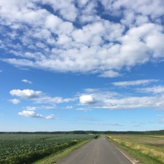 Павел Благово, Санкт-Петербург