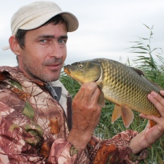 Александр Яковлев, 48 лет, Челябинск