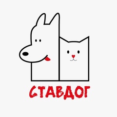 Ставдог Приют, Ставрополь