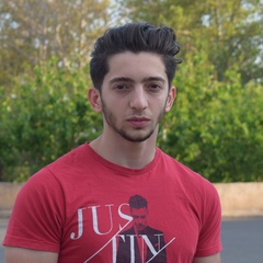 Mostafa Bahrami, 26 лет, Karaj