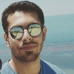 Muhammad Ahmadi, 29 лет, Bushehr