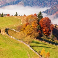 Марина Гаева, 44 года, San Marino