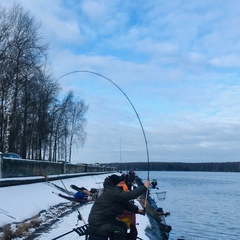 Александр Анищенков, 38 лет, Смоленск