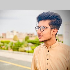 Abdul Mueed, 20 лет, Faisalabad