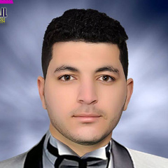 محمد ايمن, 26 лет, Damanhur