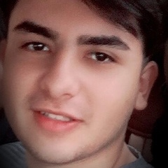 Mohammad Moghadam, 23 года