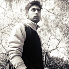 Muhammad-Hamza Bhatti, 29 лет, Lahore