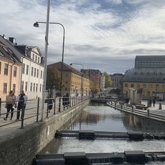 Jawid Mohammad, 29 лет, Örebro