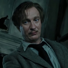 'remus 'lupin, 33 года, Мариямполе