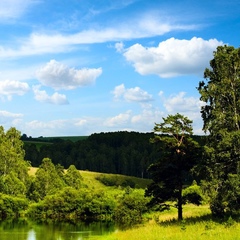 Александр Шабуров, Курган