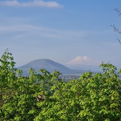 Александр Петряшин, Самара