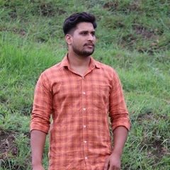 Kushal Bhardwaj, 25 лет, Shimla