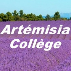 Artémisia Collège, 39 лет