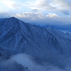 Светлана Микитенко, Донецк