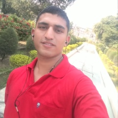 Rajput Susheel, 28 лет, Jammu