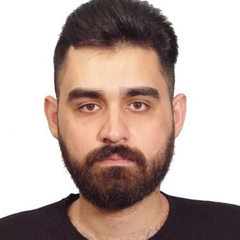 Mohamad Payan, 31 год, Isfahan