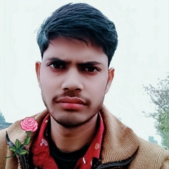 Akhalesh Kumar, 28 лет, Noida