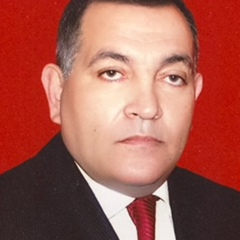 Seyfeddin Esed, 70 лет