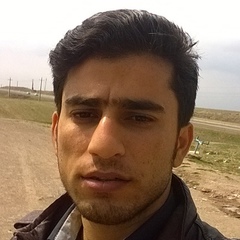 Peyman Stoodeh, 34 года, Kerman