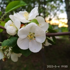 Ольга Лазарева, Ульяновск