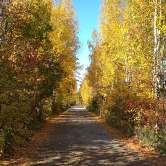 Ольга Ершова, Санкт-Петербург