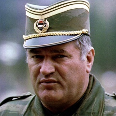 Ratko Mladić, 48 лет, Bijeljina