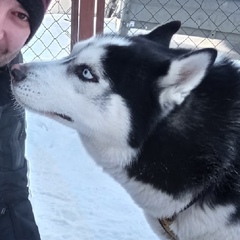 Александр Малышев, 34 года, Новосибирск