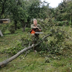 Михаил Лянгузов, 41 год, Москва