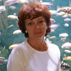 Ирина Кулькова, Воронеж