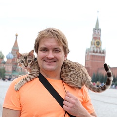 Андрей Котляров, 37 лет, Москва