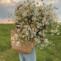 Яна Кардашова, Тобольск