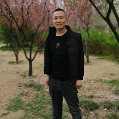 Hang Fei, 40 лет, Jinan