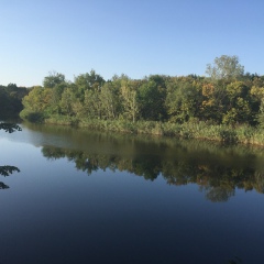 Дана Стецкая, Днепр (Днепропетровск)