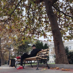 Дима Гончаров, Санкт-Петербург