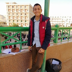 Ahmed Medhat, 26 лет, Alexandria