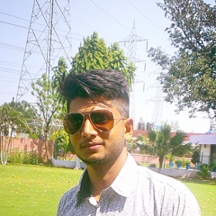 Pankaj Bali, 29 лет, Jalandhar