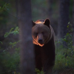 Радик Мулюков, Ульяновск